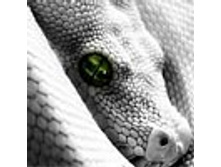 02.08.2010 1:14:23