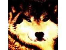 02.08.2010 1:14:26