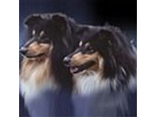 02.08.2010 1:14:29