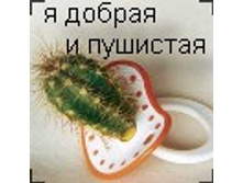 02.08.2010 1:15:40