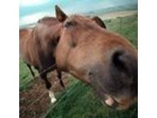 02.08.2010 1:15:47