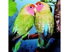 02.08.2010 1:15:51