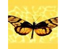 02.08.2010 1:15:57