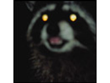 02.08.2010 1:18:24
