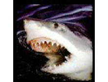 02.08.2010 1:19:18