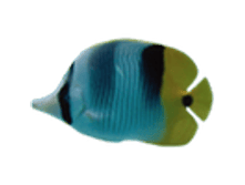 02.08.2010 1:19:27