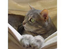 02.08.2010 1:19:44