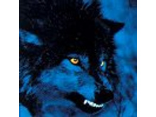 02.08.2010 1:19:50