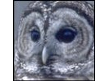 02.08.2010 1:20:39