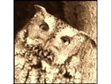 02.08.2010 1:20:42