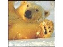 02.08.2010 1:20:42