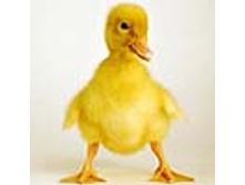 02.08.2010 1:20:45