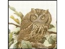 02.08.2010 1:20:47