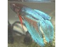 02.08.2010 1:20:52