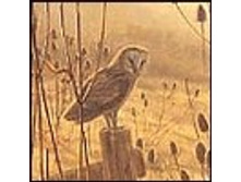 02.08.2010 1:20:52