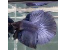 02.08.2010 1:20:53