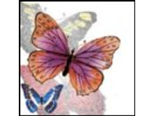 02.08.2010 1:20:55