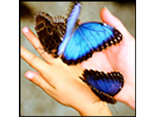 02.08.2010 1:20:57