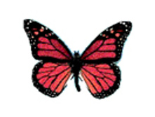 02.08.2010 1:21:01