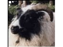 02.08.2010 1:21:02