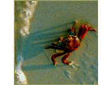 02.08.2010 1:21:04