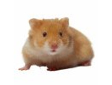 02.08.2010 1:21:20
