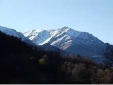 DSCF2200.JPG