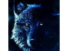 02.08.2010 1:21:30