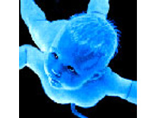 02.08.2010 1:21:38