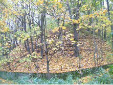 DSCF0031