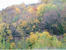 DSCF0015