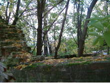 DSCF0025