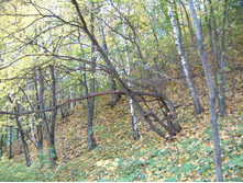 DSCF0027