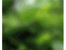02.08.2010 1:23:34