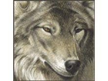 02.08.2010 1:23:38
