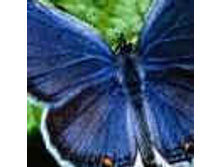 02.08.2010 1:26:52