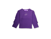 SAM_211096_PURPLE � 398�.JPG
