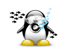 02.08.2010 1:29:24