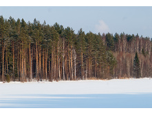 _A170124.jpg