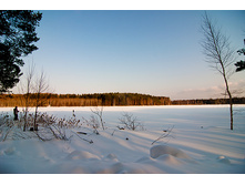 _A170129.jpg