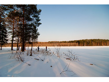_A170131.jpg