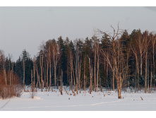 _A170136.jpg