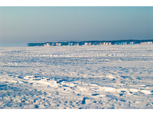 _A170162.jpg