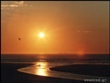 02.08.2010 1:31:48