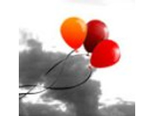 02.08.2010 1:34:20