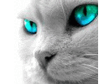 02.08.2010 1:34:34