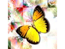 02.08.2010 1:34:43