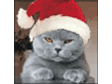 02.08.2010 1:34:54