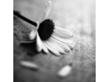 02.08.2010 1:35:35