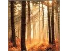 02.08.2010 1:35:39